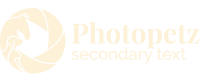 Sponsor-4.png